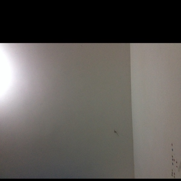 用户头像_省省回头车